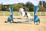 SBM_001341