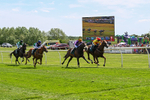 300526-Race 1-Forest Phoenix-0212