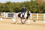 SBM_016765