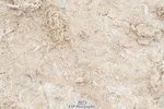 250420A-111528-00507