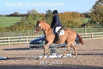 BPP_8003