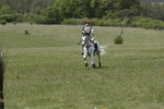 BVHT 140517  IXC -719