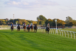 300926-Race 8-Jojo Rabbit-7153