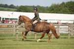 SBM_09783