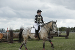 BVHT 140517  NXC -145