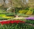 Keukenhof gardens - 2