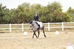 SBM_002972