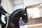 SBM_005788