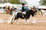 SBM_01649