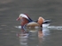 Mandarin