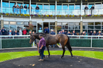 120526-Race 3-Merlier-7906