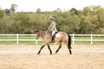 SBM_002801