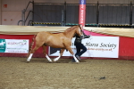 SBM_14880