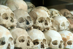 The Killing Fields