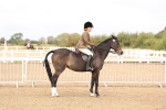 SBM_01540