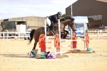 SBM_003784