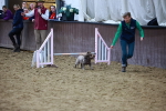 SBM_006237