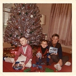 aluminum Christmas tree