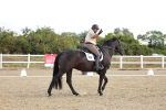 SBM_003734