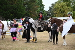 WJ6_9235