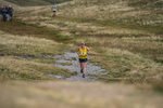 Sedbergh Hills-565