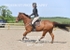 BPP_3831