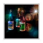 Wine Bottles & Glass