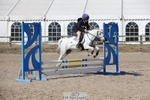 NAF 15.30 to 16.50 portfolio