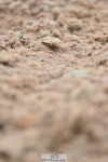 230630A-171946-03608