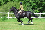 3E7A6607