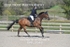 BPP_2948
