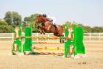 SBM_001929