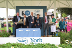 Race 6 4.40pm Assured Data Protection British EBF Fillies' Stakes portfolio
