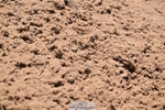 260425-113002-14818