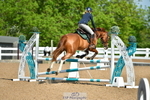 Cls 1 British Novice & 90cm Open portfolio