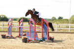 Class 23 - Senior Foxhunter - 1.20m portfolio