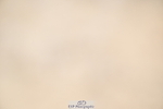 250613A-135917-01796