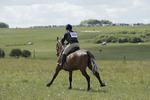 BVHT 140517  IXC -587
