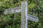 Westmorland-546