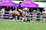 SBM_07960