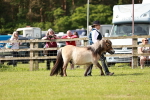 SBM_01738
