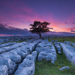 Winskill Stones, Yorkshire dales