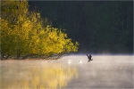 Misty Take Off