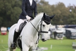 401-SASSY.BIRD-Jemima.Haslam-DR portfolio