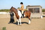 SBM_01218