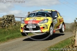 HAMILTONS FOLLY 18