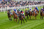 150526-Race 3-Warrant Holder-0168