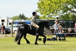 SBM_07043
