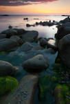 Urris (08059815)