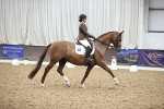 Class 13 - AM5 Bronze 14.00-14.56 portfolio